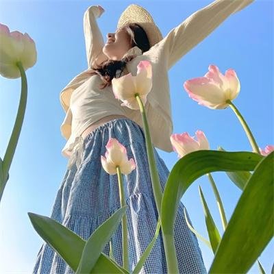 大地之源：西之岛